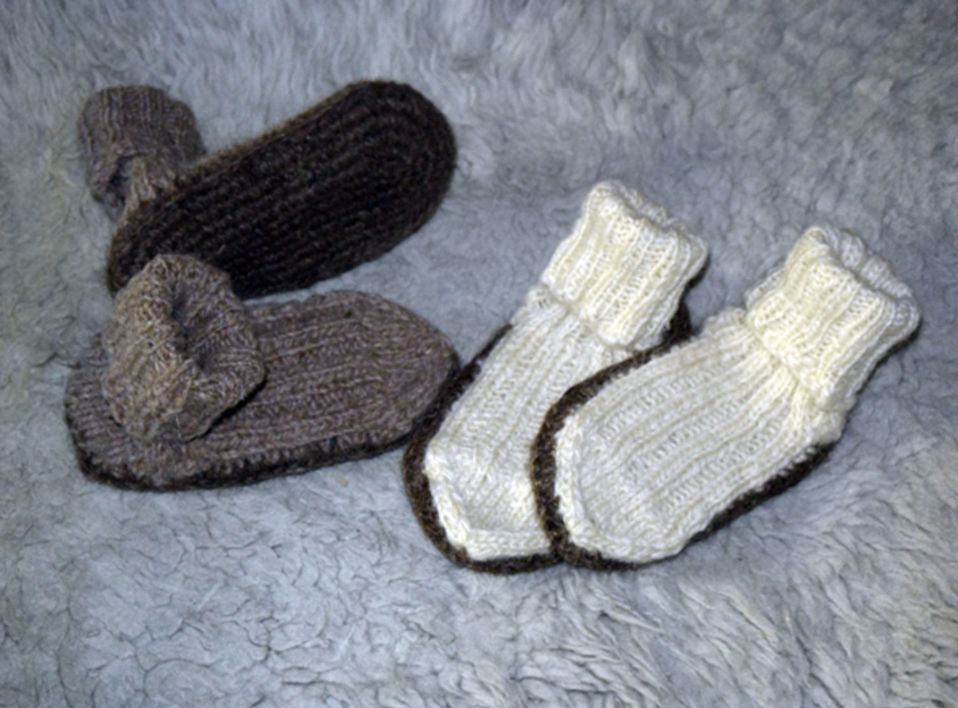 bauwagenschuhe.jpg
